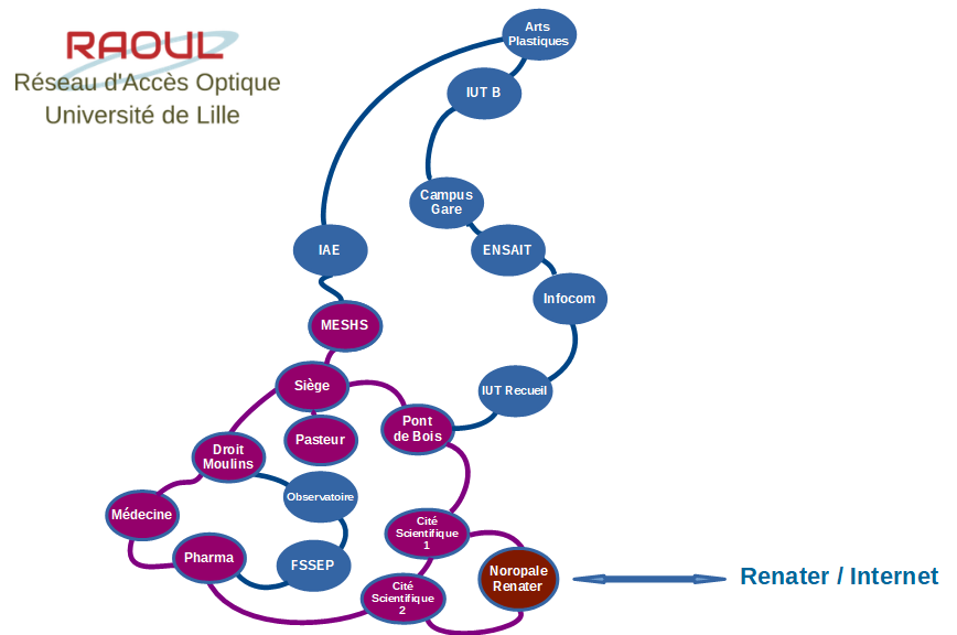 Schéma du réseau Raoul